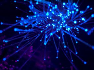 Blog purple-and-blue-light-digital-wallpaper-8bghkxnu1j0